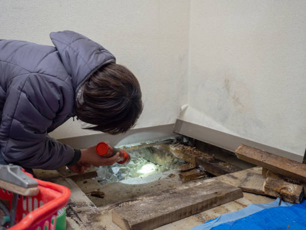 Mold Remediation for Rental Properties in Sandy Hook, CT