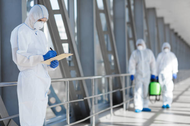 Best Real Estate Mold Inspection  in Sandy Hook, CT