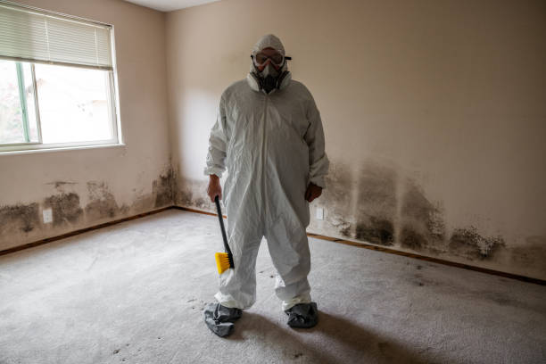 Best Airborne Mold Testing  in Sandy Hook, CT