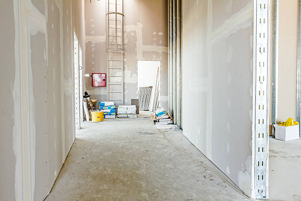 Reliable Sandy Hook, CT Mold Removal Solutions